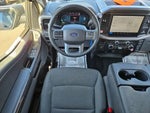 2025 F-150 Thumbnail 8