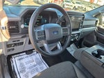 2025 F-150 Thumbnail 10