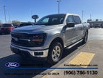 2025 F-150 Thumbnail 3