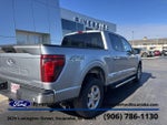 2025 F-150 Thumbnail 9