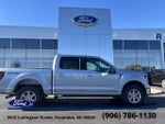 2025 F-150 Thumbnail 10