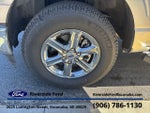 2025 F-150 Thumbnail 11