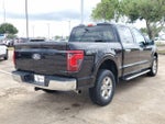 2025 F-150 Thumbnail 3