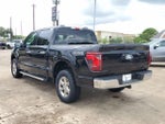 2025 F-150 Thumbnail 4