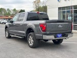 2025 F-150 Thumbnail 4
