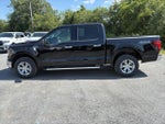 2025 F-150 Thumbnail 4