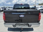 2025 F-150 Thumbnail 6