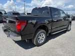 2025 F-150 Thumbnail 7