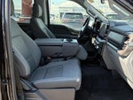 2025 F-150 Thumbnail 12