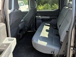 2025 F-150 Thumbnail 13