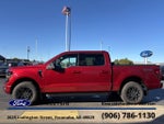 2026 F-150 Thumbnail 5