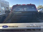 2026 F-150 Thumbnail 9