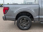 2024 F-150 Thumbnail 5