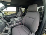 2024 F-150 Thumbnail 18