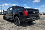 2024 F-150 Thumbnail 5