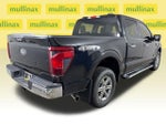 2024 F-150 Thumbnail 4