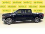 2024 F-150 Thumbnail 12
