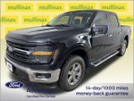2024 F-150 Thumbnail 15