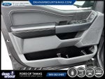 2024 F-150 Thumbnail 5