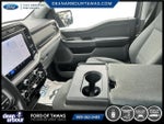 2024 F-150 Thumbnail 10