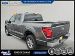 2024 F-150 Thumbnail 19