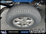 2024 F-150 Thumbnail 23