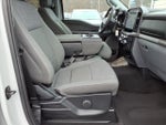 2024 F-150 Thumbnail 8