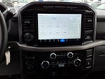 2024 F-150 Thumbnail 19