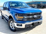 2024 F-150 Thumbnail 2