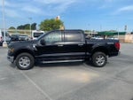 2024 F-150 Thumbnail 4