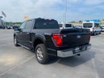 2024 F-150 Thumbnail 5