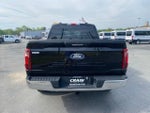 2024 F-150 Thumbnail 6