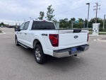 2024 F-150 Thumbnail 6