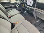 2024 F-150 Thumbnail 12