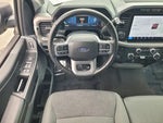 2024 F-150 Thumbnail 14