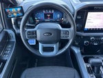 2025 F-150 Thumbnail 15