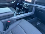 2025 F-150 Thumbnail 16