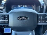 2025 F-150 Thumbnail 24