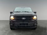 2025 F-150 Thumbnail 3