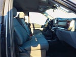 2025 F-150 Thumbnail 9