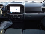 2025 F-150 Thumbnail 10