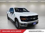 2025 F-150 Thumbnail 3