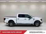 2025 F-150 Thumbnail 4