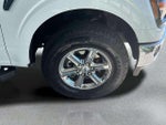 2025 F-150 Thumbnail 31