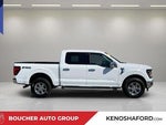 2025 F-150 Thumbnail 4