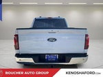 2025 F-150 Thumbnail 6