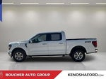2025 F-150 Thumbnail 8