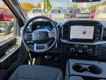 2025 F-150 Thumbnail 20