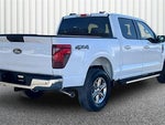 2025 F-150 Thumbnail 12