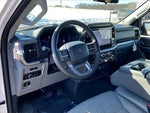 2025 F-150 Thumbnail 13
